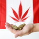 Canada is on a cannabis roll.